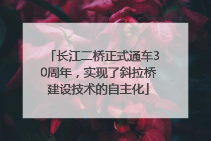 长江二桥正式通车30周年，实现了斜拉桥建设技术的自主化
