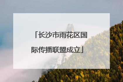 长沙市雨花区国际传播联盟成立