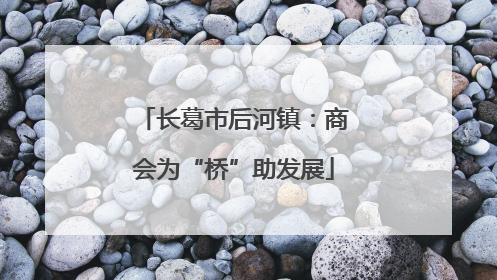 长葛市后河镇：商会为“桥”助发展