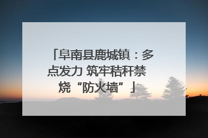 阜南县鹿城镇：多点发力 筑牢秸秆禁烧“防火墙”