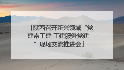 陕西召开新兴领域“党建带工建 工建服务党建”现场交流推进会
