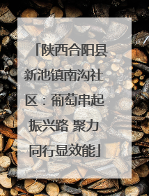 陕西合阳县新池镇南沟社区：葡萄串起振兴路 聚力同行显效能