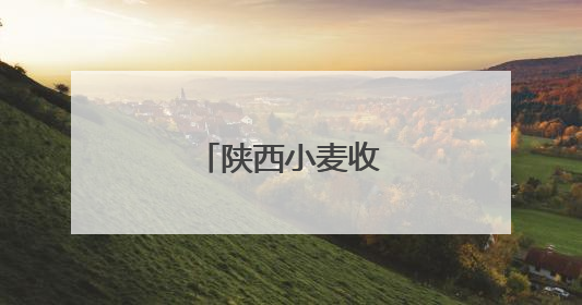 陕西小麦收获已过三成