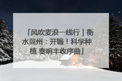 风吹麦浪一线行｜衡水冀州：开镰！科学种植 奏响丰收序曲