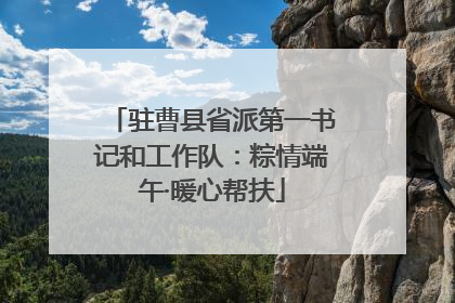 驻曹县省派第一书记和工作队：粽情端午·暖心帮扶