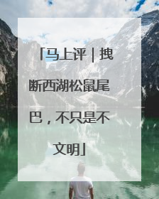 马上评｜拽断西湖松鼠尾巴，不只是不文明