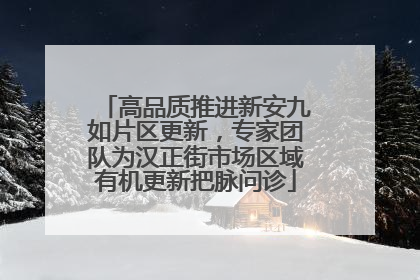 高品质推进新安九如片区更新，专家团队为汉正街市场区域有机更新把脉问诊