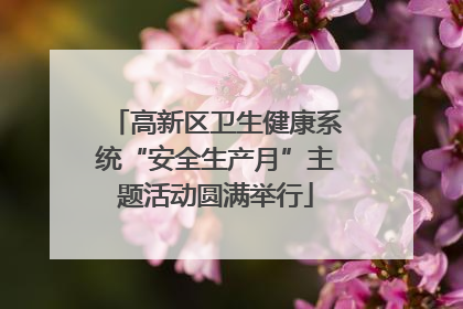 高新区卫生健康系统“安全生产月”主题活动圆满举行