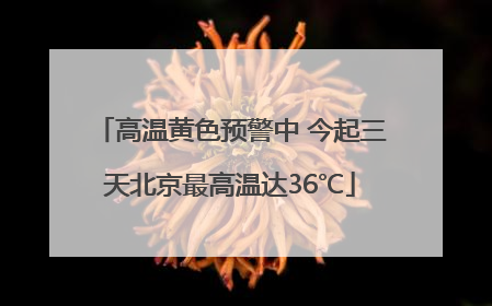高温黄色预警中 今起三天北京最高温达36℃