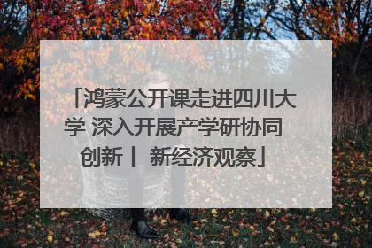 鸿蒙公开课走进四川大学 深入开展产学研协同创新丨 新经济观察