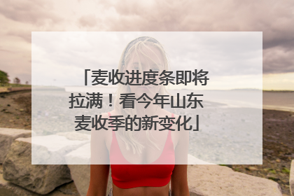 麦收进度条即将拉满！看今年山东麦收季的新变化