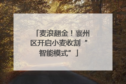 麦浪翻金！襄州区开启小麦收割“智能模式”