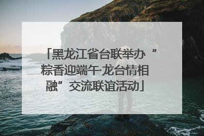 黑龙江省台联举办“粽香迎端午·龙台情相融”交流联谊活动
