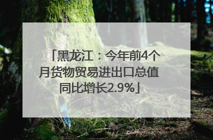 黑龙江：今年前4个月货物贸易进出口总值同比增长2.9%