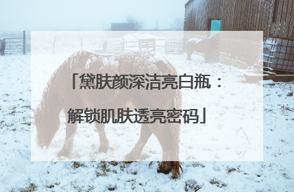 黛肤颜深洁亮白瓶：解锁肌肤透亮密码