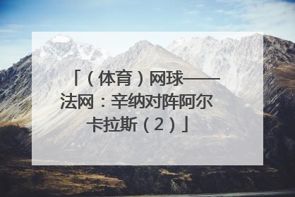 （体育）网球——法网：辛纳对阵阿尔卡拉斯（2）