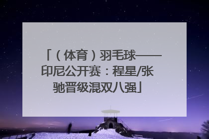 （体育）羽毛球——印尼公开赛：程星/张驰晋级混双八强