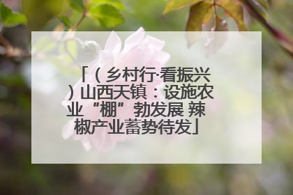 （乡村行·看振兴）山西天镇：设施农业“棚”勃发展 辣椒产业蓄势待发