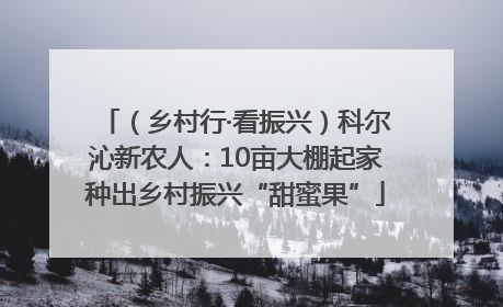 （乡村行·看振兴）科尔沁新农人：10亩大棚起家种出乡村振兴“甜蜜果”