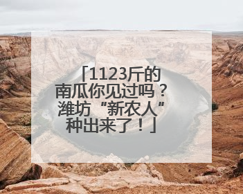 1123斤的南瓜你见过吗？潍坊“新农人”种出来了！