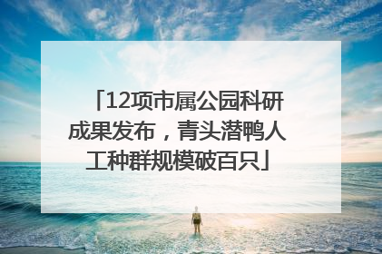 12项市属公园科研成果发布，青头潜鸭人工种群规模破百只