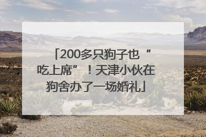 200多只狗子也“吃上席”！天津小伙在狗舍办了一场婚礼