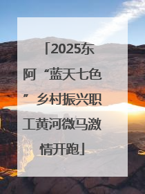 2025东阿“蓝天七色”乡村振兴职工黄河微马激情开跑