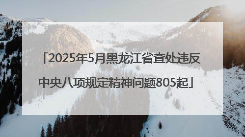 2025年5月黑龙江省查处违反中央八项规定精神问题805起