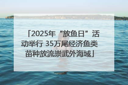 2025年“放鱼日”活动举行 35万尾经济鱼类苗种放流崇武外海域
