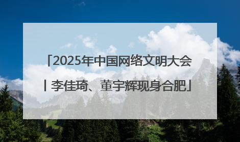 2025年中国网络文明大会丨李佳琦、董宇辉现身合肥