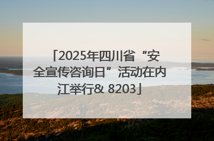 2025年四川省“安全宣传咨询日”活动在内江举行& 8203