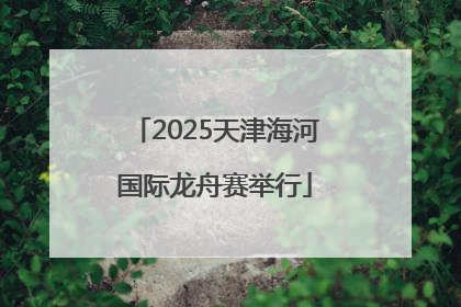 2025天津海河国际龙舟赛举行