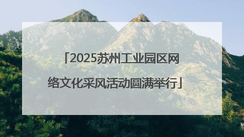 2025苏州工业园区网络文化采风活动圆满举行