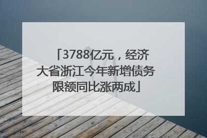 3788亿元，经济大省浙江今年新增债务限额同比涨两成