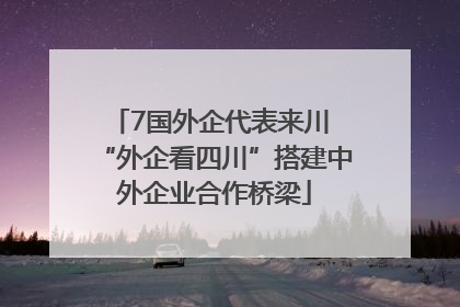 7国外企代表来川 “外企看四川”搭建中外企业合作桥梁