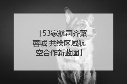 53家航司齐聚蓉城 共绘区域航空合作新蓝图