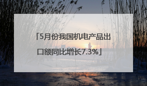 5月份我国机电产品出口额同比增长7.3%