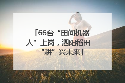 66台“田间机器人”上岗，泗阳稻田“耕”兴未来
