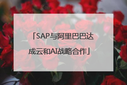 SAP与阿里巴巴达成云和AI战略合作