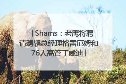 Shams：老鹰将聘请鹈鹕总经理格雷厄姆和76人高管丁威迪